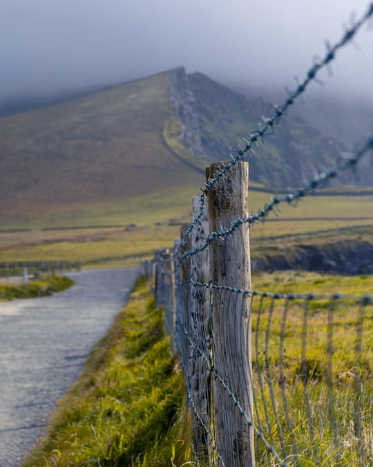 gray metal fence on green grass field during daytime in Ring of Kerry Ireland