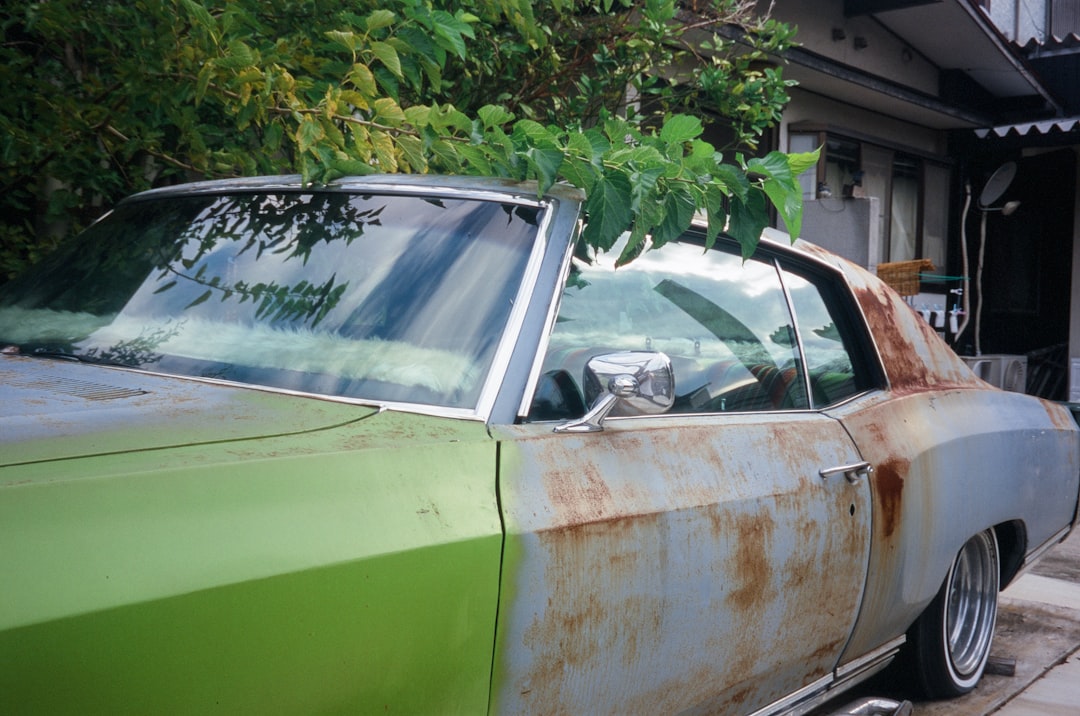 green and white vintage car parked near green tree during daytime