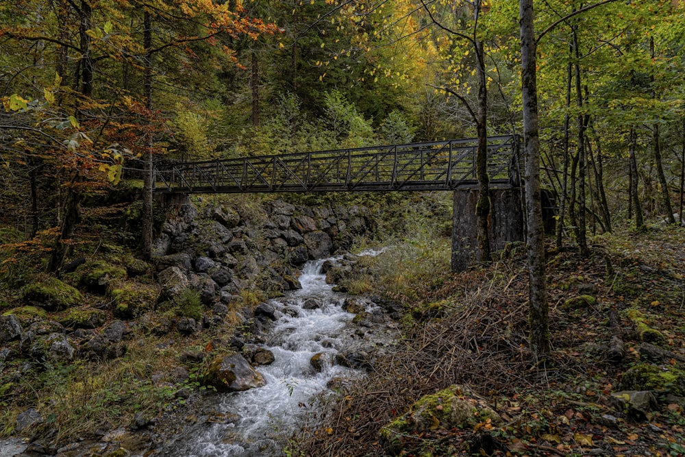 brown wooden bridge over river