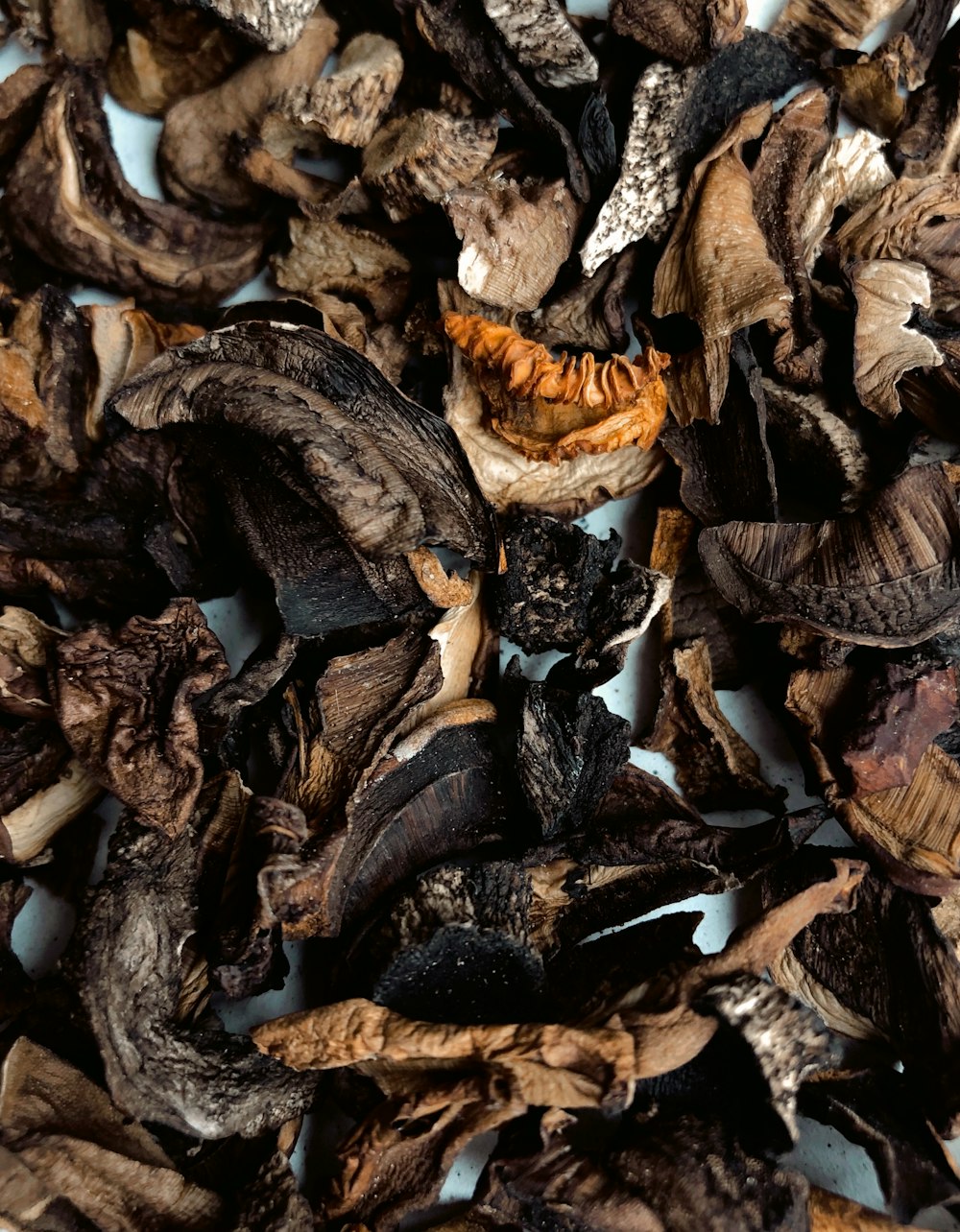 brown and black dried leaves