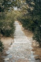 gray stone pathway between green trees during daytime