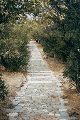 A narrow stone pathway winds through a landscape dense with trees and bushes. The path is composed of irregularly shaped stones and extends into the distance, disappearing into the foliage. The surrounding terrain is earthy, with a mixture of green and brown hues from the trees and underbrush, creating a natural and serene atmosphere.