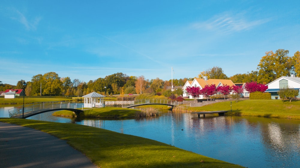 green grass field near body of water under blue sky during daytime