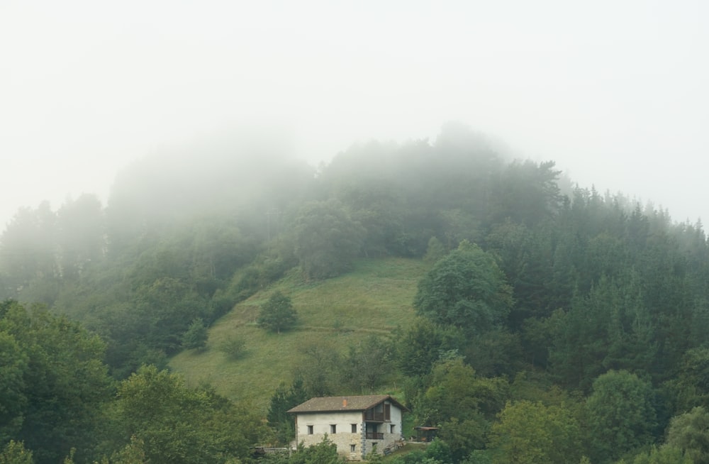 white and brown concrete house on green mountain