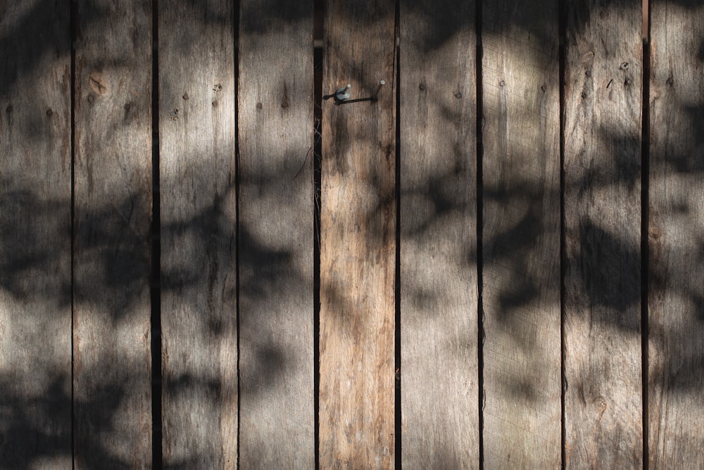 tablón de madera marrón en fotografía de primer plano