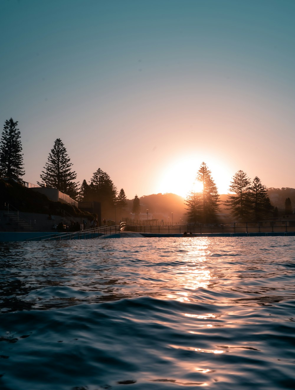 body of water near trees during daytime