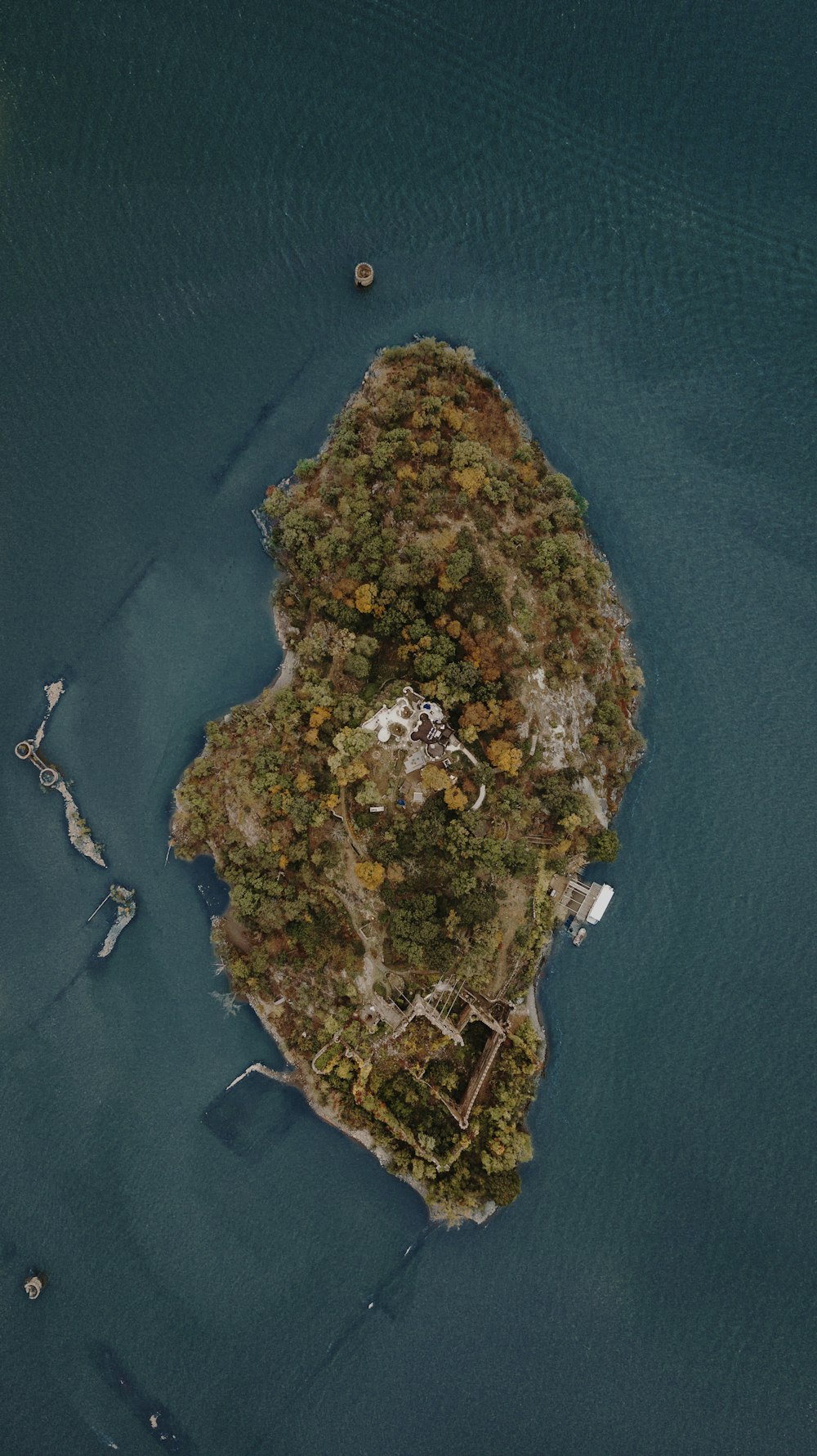 aerial view of green and brown island