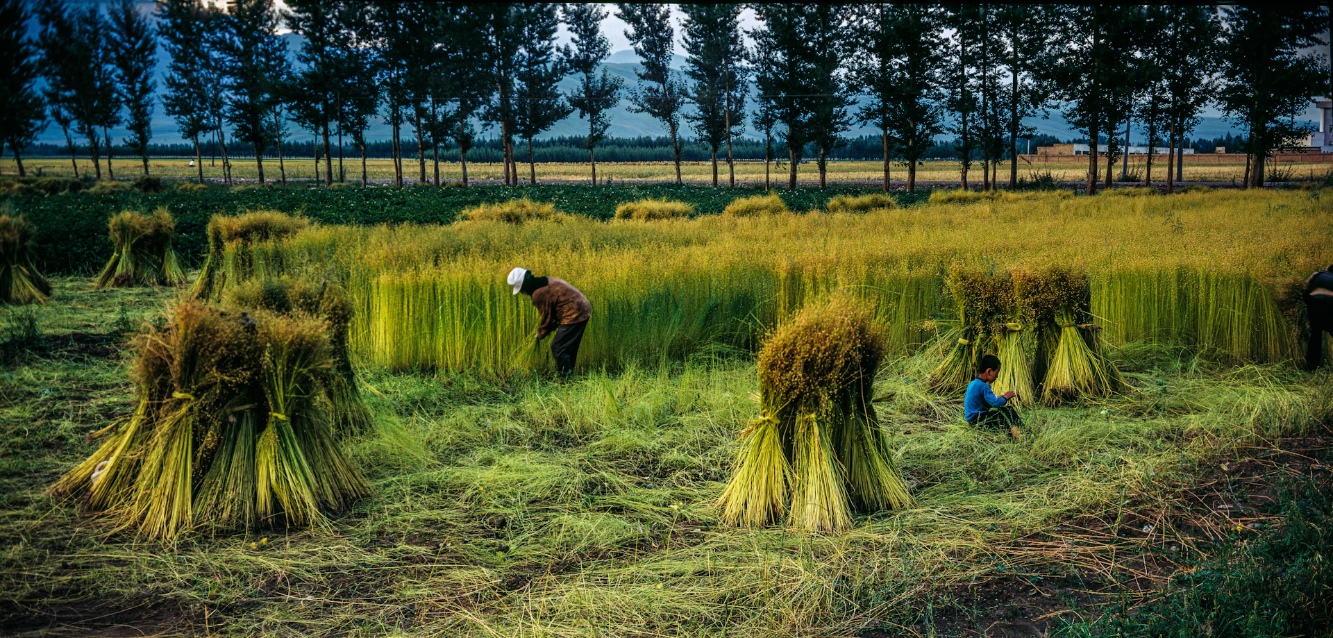 man in brown jacket and black pants standing on green grass field during daytime