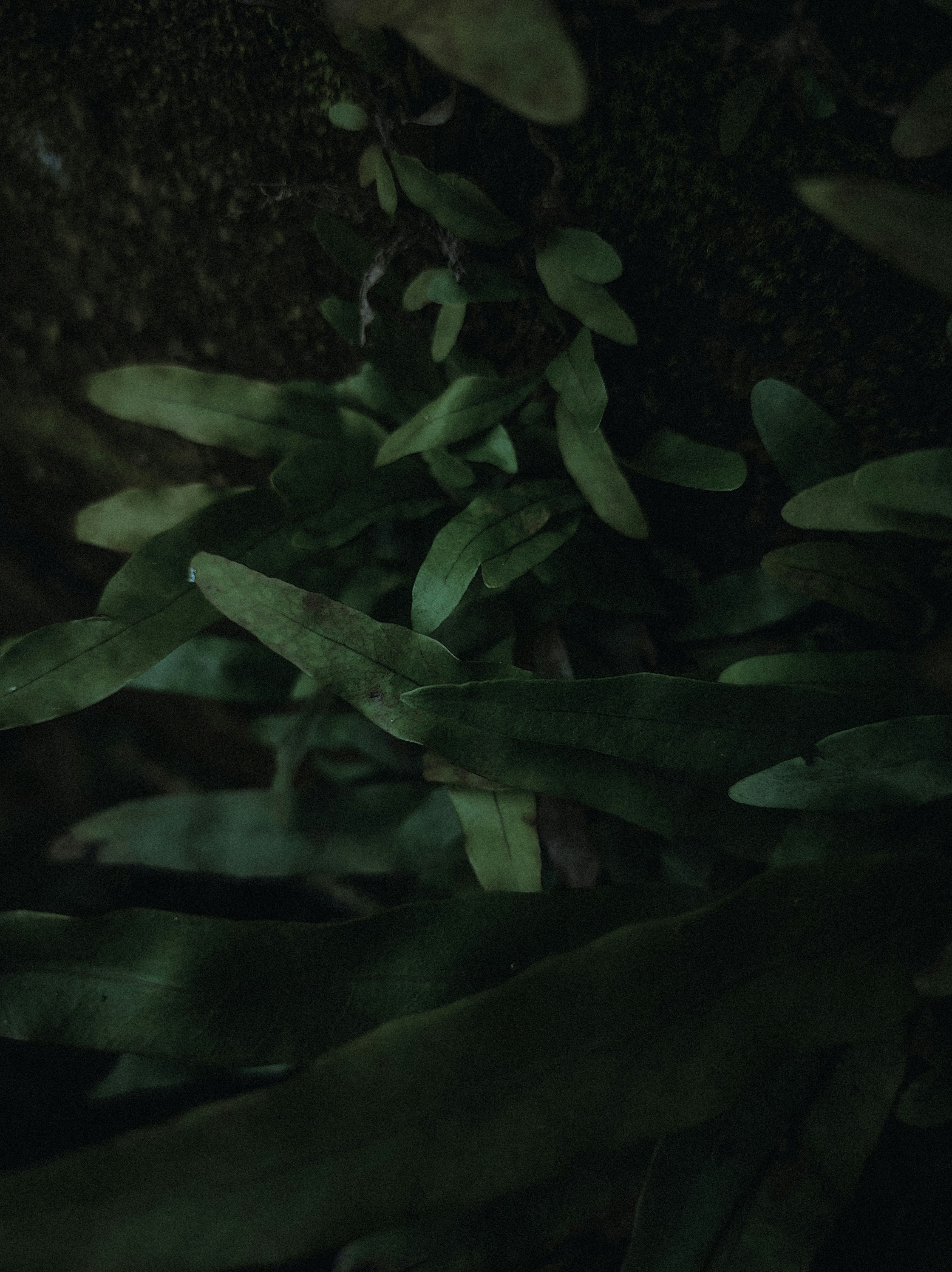 Photo by sreerajofficial07