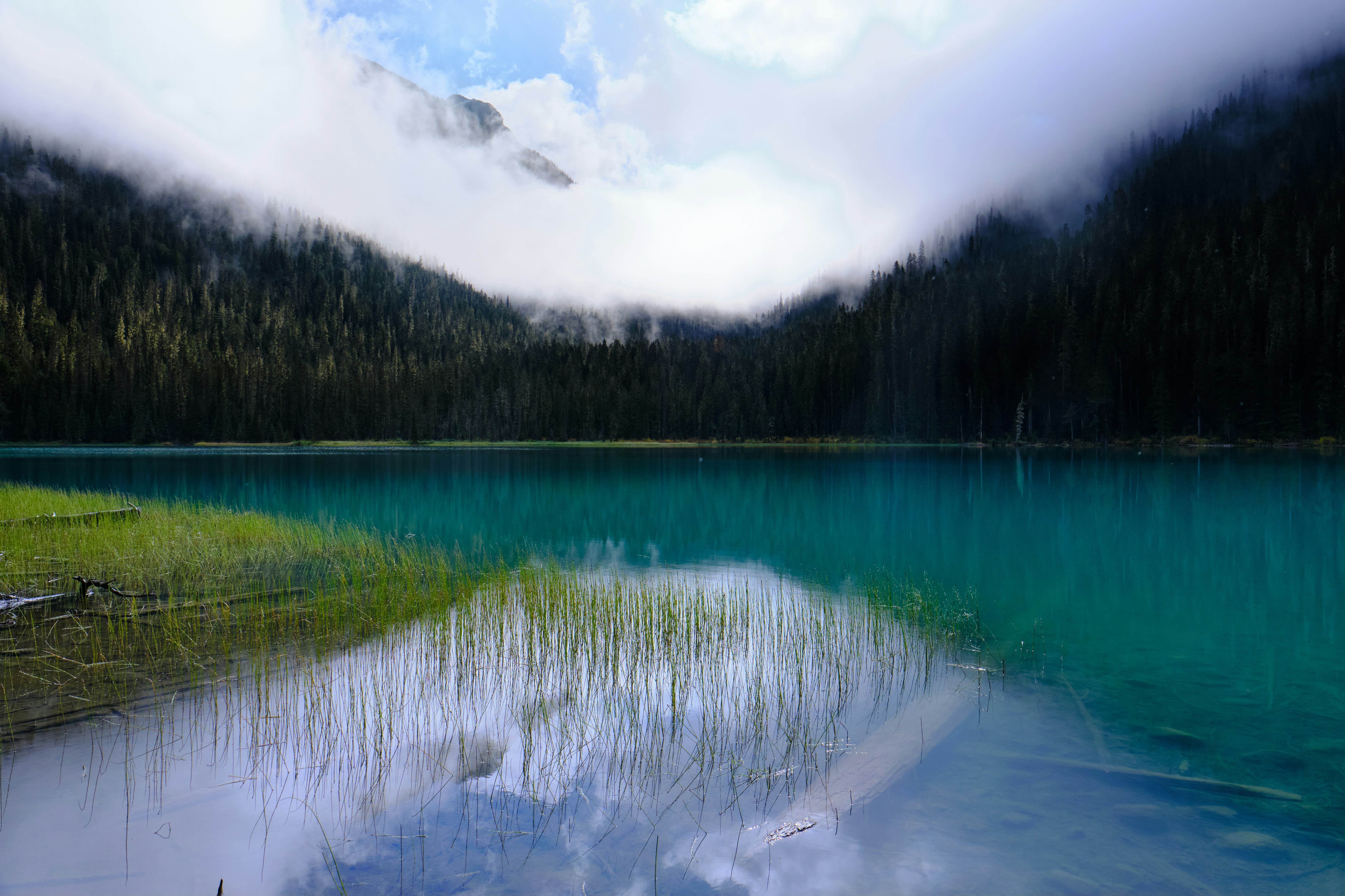 Photo by kevinmueller