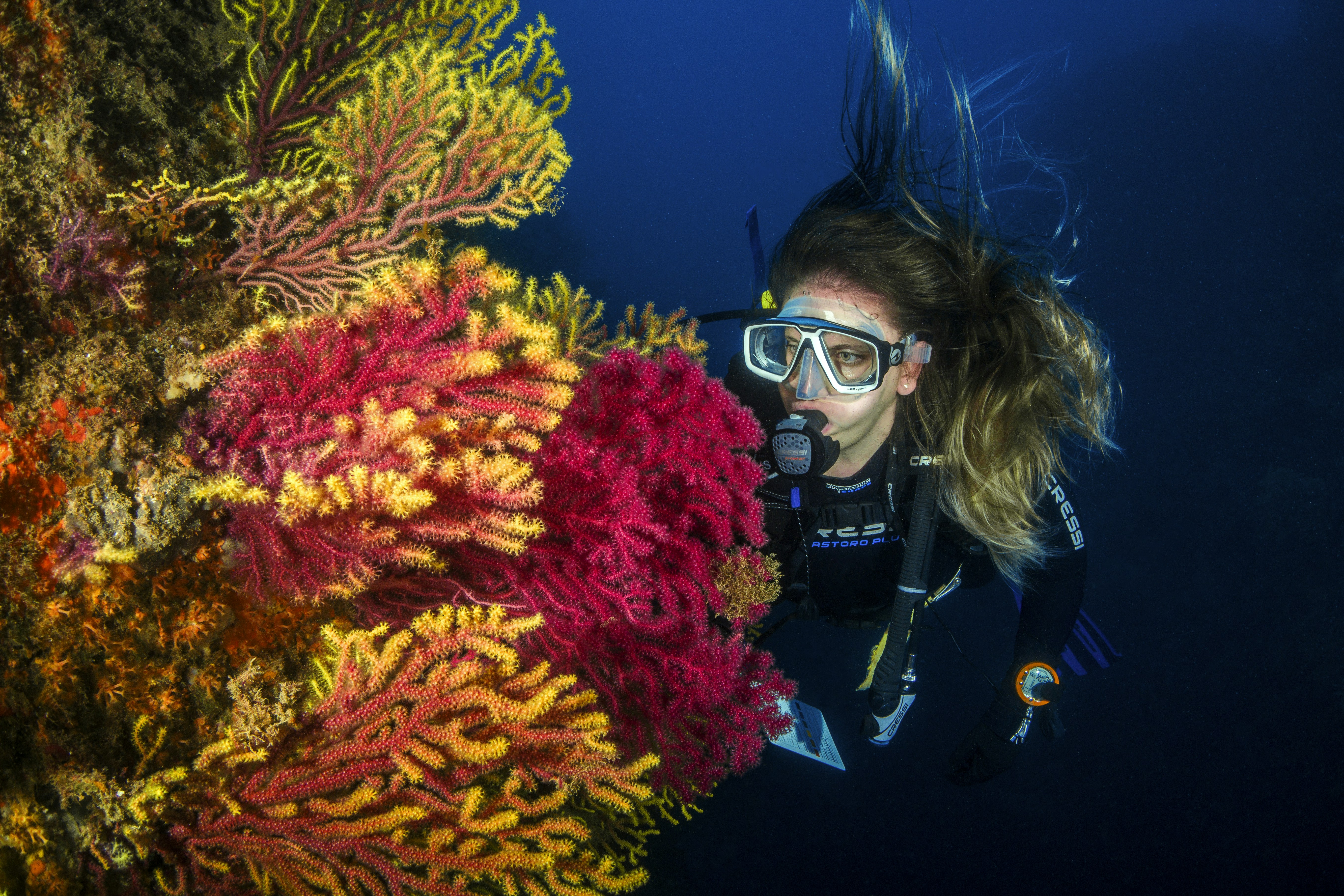 person in black goggles and black goggles under water, Gorgonian walls of the mediterranean sea