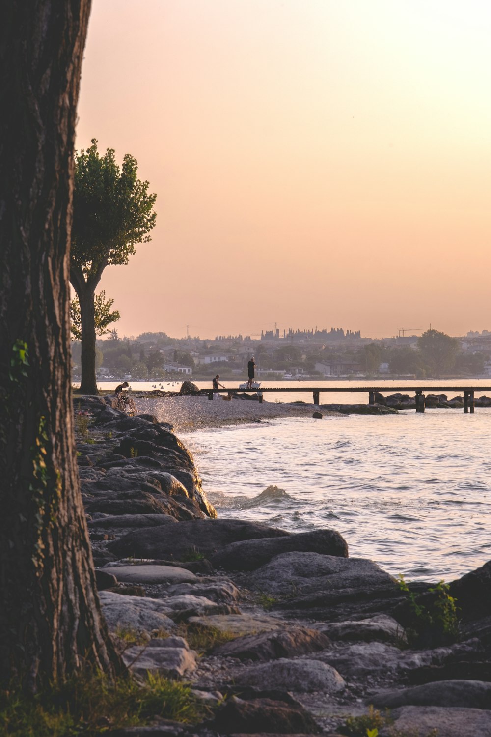 people standing on wooden dock during sunset