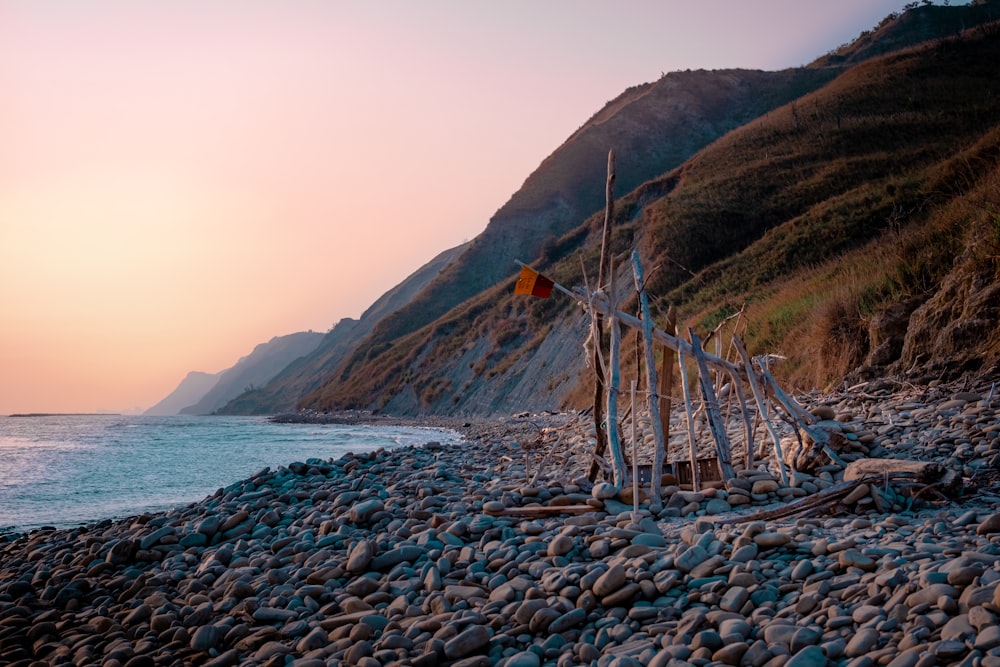 brown wooden stick on seashore during daytime