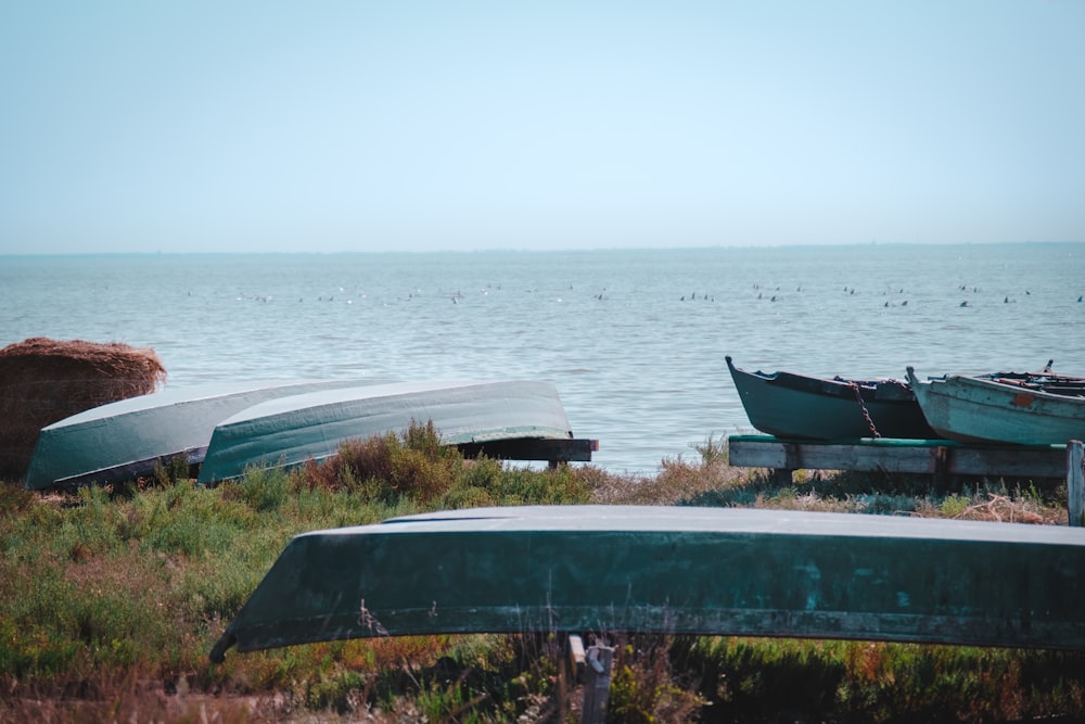 white and blue boat on green grass near body of water during daytime