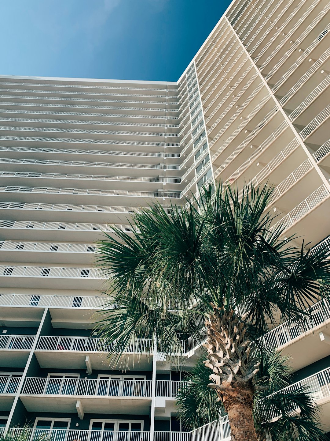 green palm tree near white concrete building