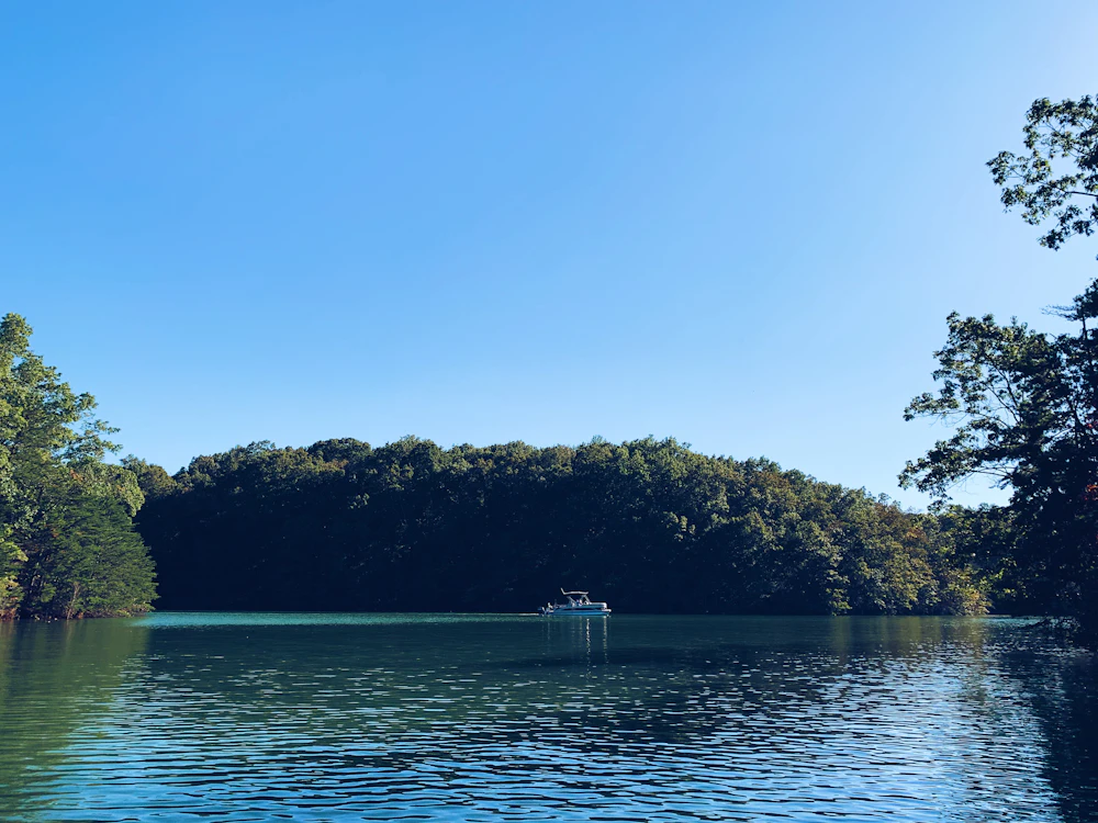 A quiet tree lined river opening toward wider water