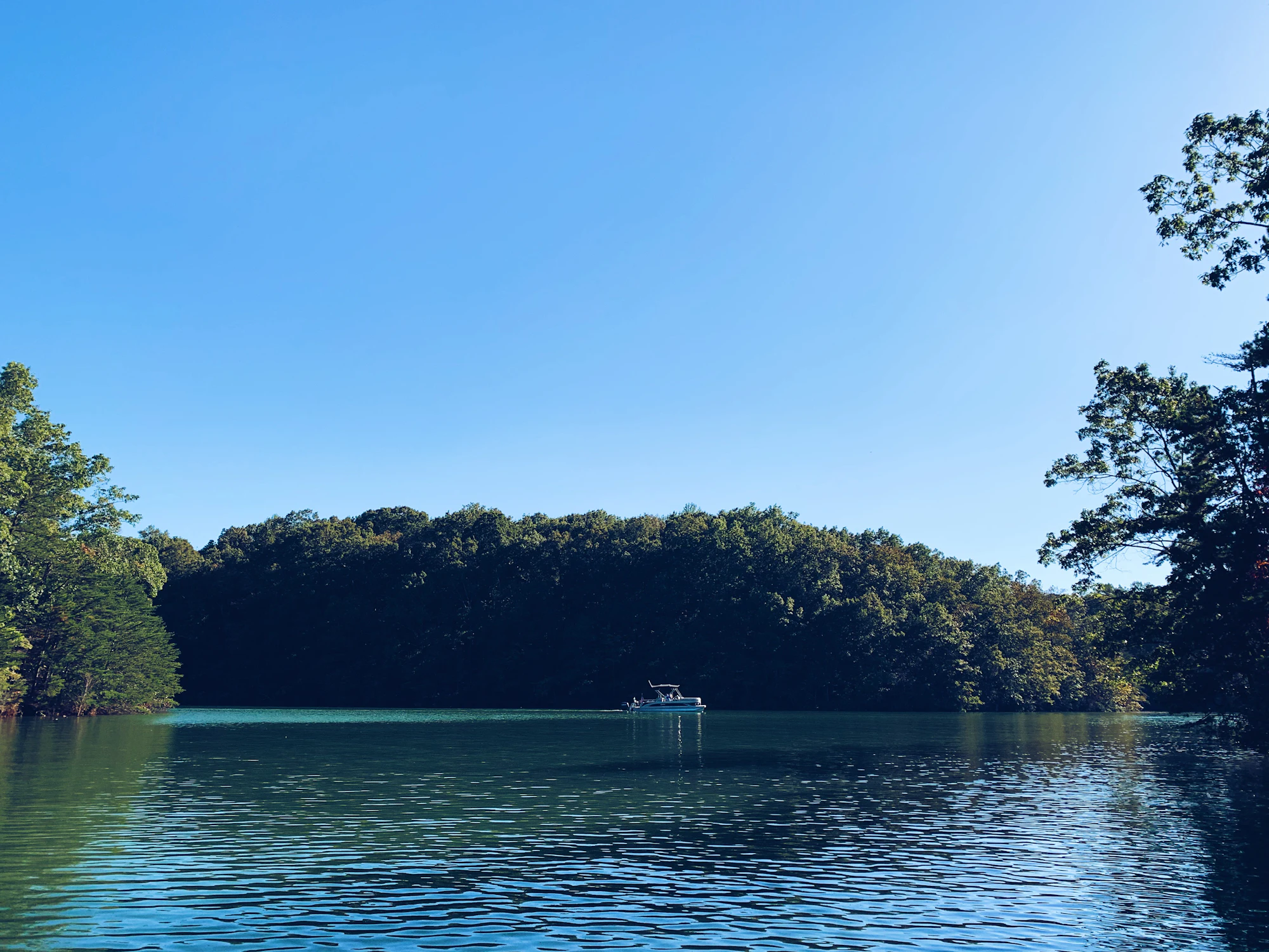 A quiet tree lined river opening toward wider water
