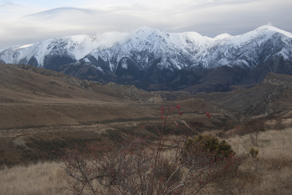 uma vista de uma cordilheira nevada à distância