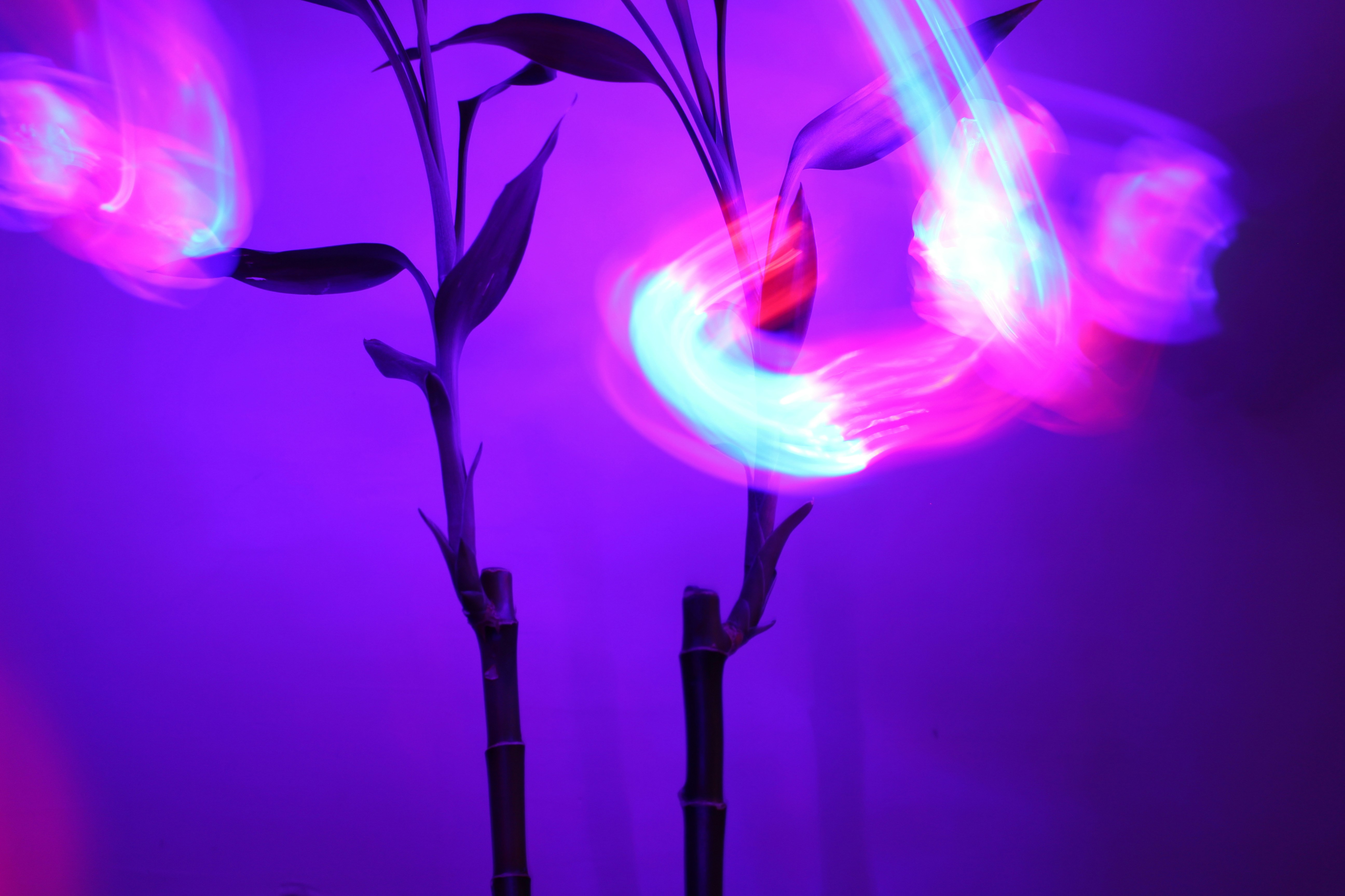 Photo by st_valentina