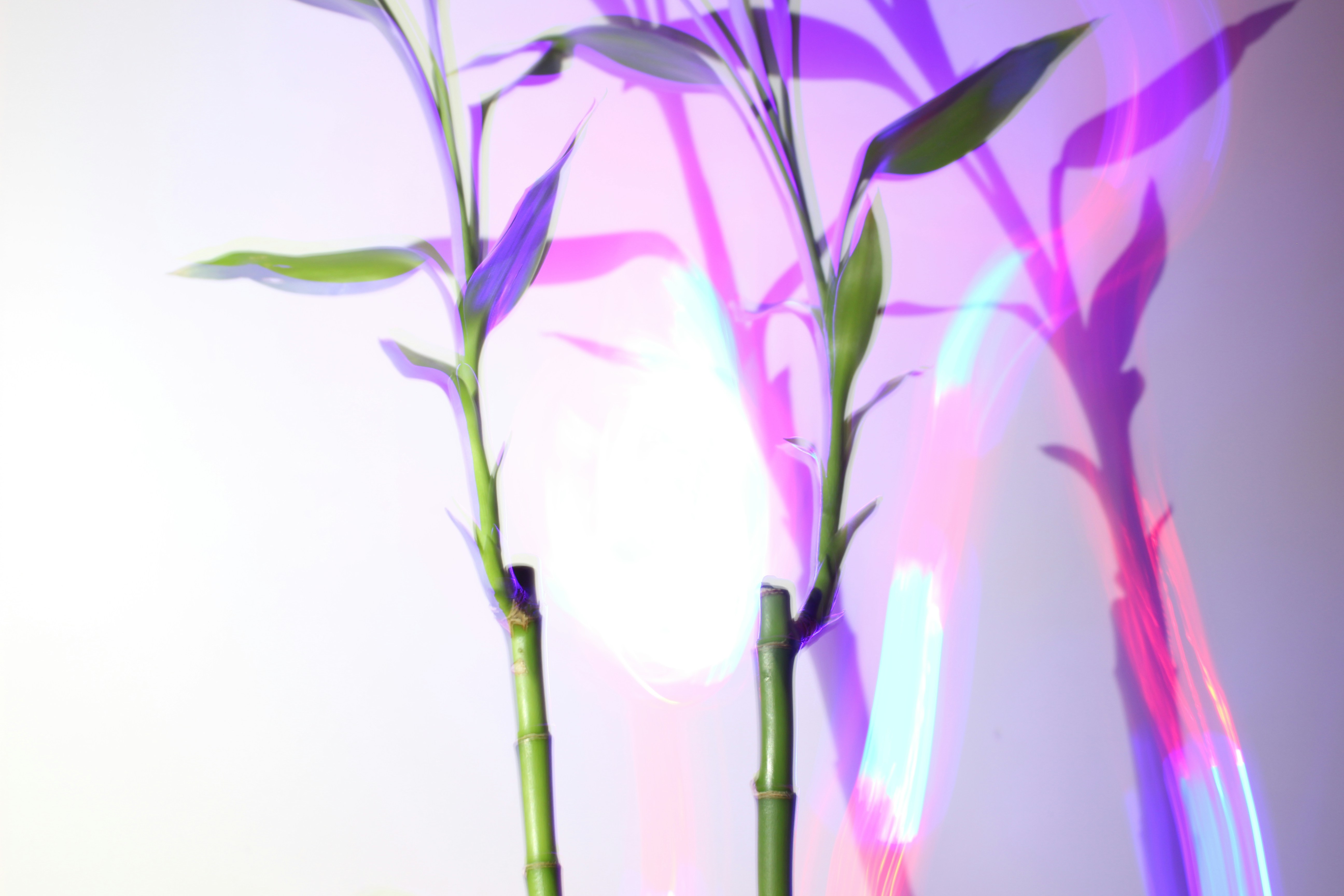 Photo by st_valentina