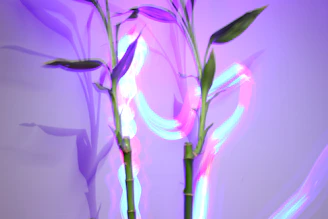 A close-up of bamboo roots spreading underground, glowing softly against dark soil with hints of deep blue and cream light.