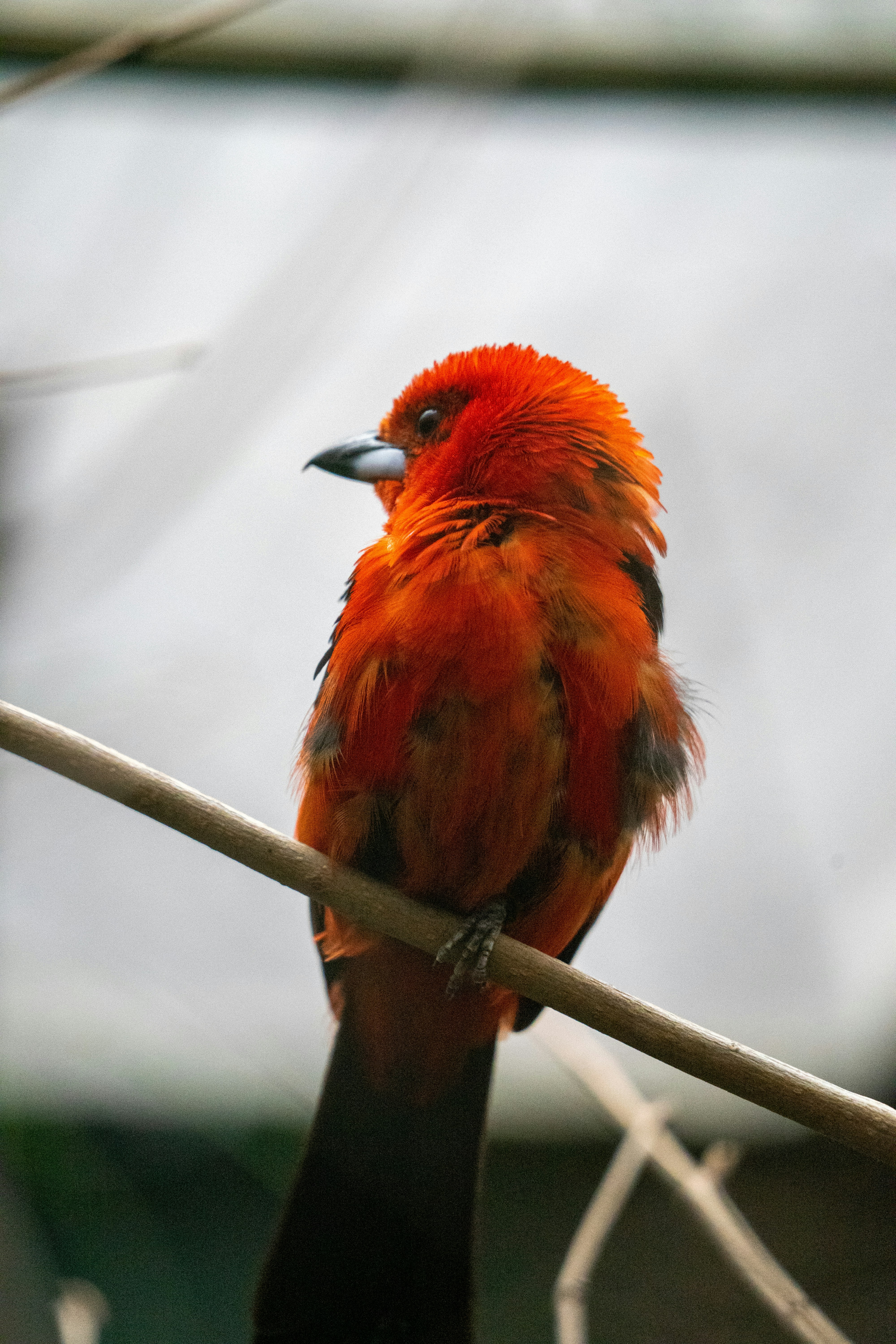 Photo by arne_verbist