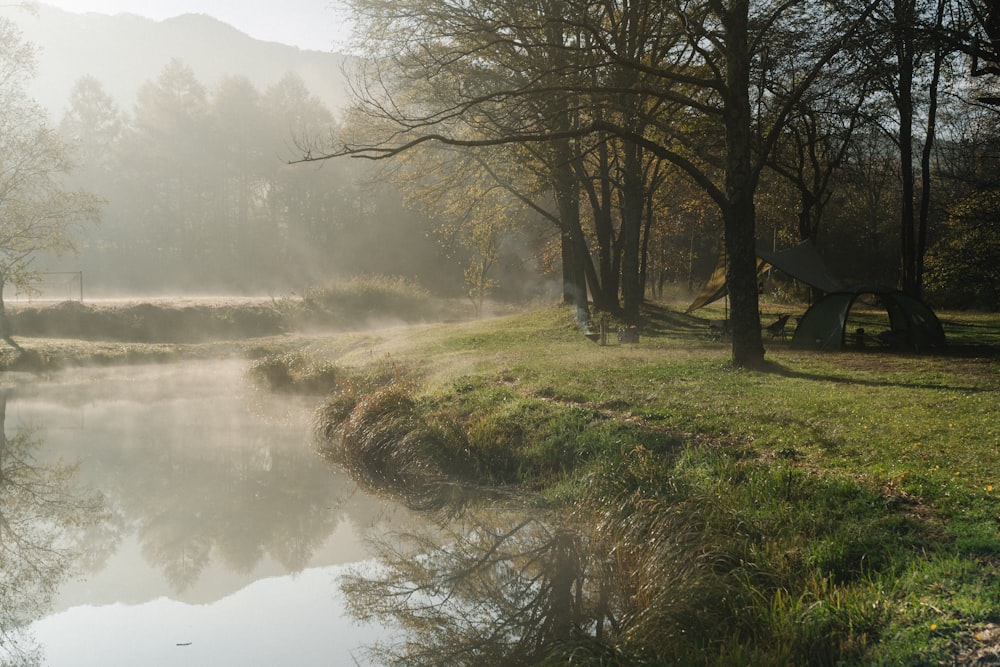 campo di erba verde vicino allo specchio d'acqua durante il giorno