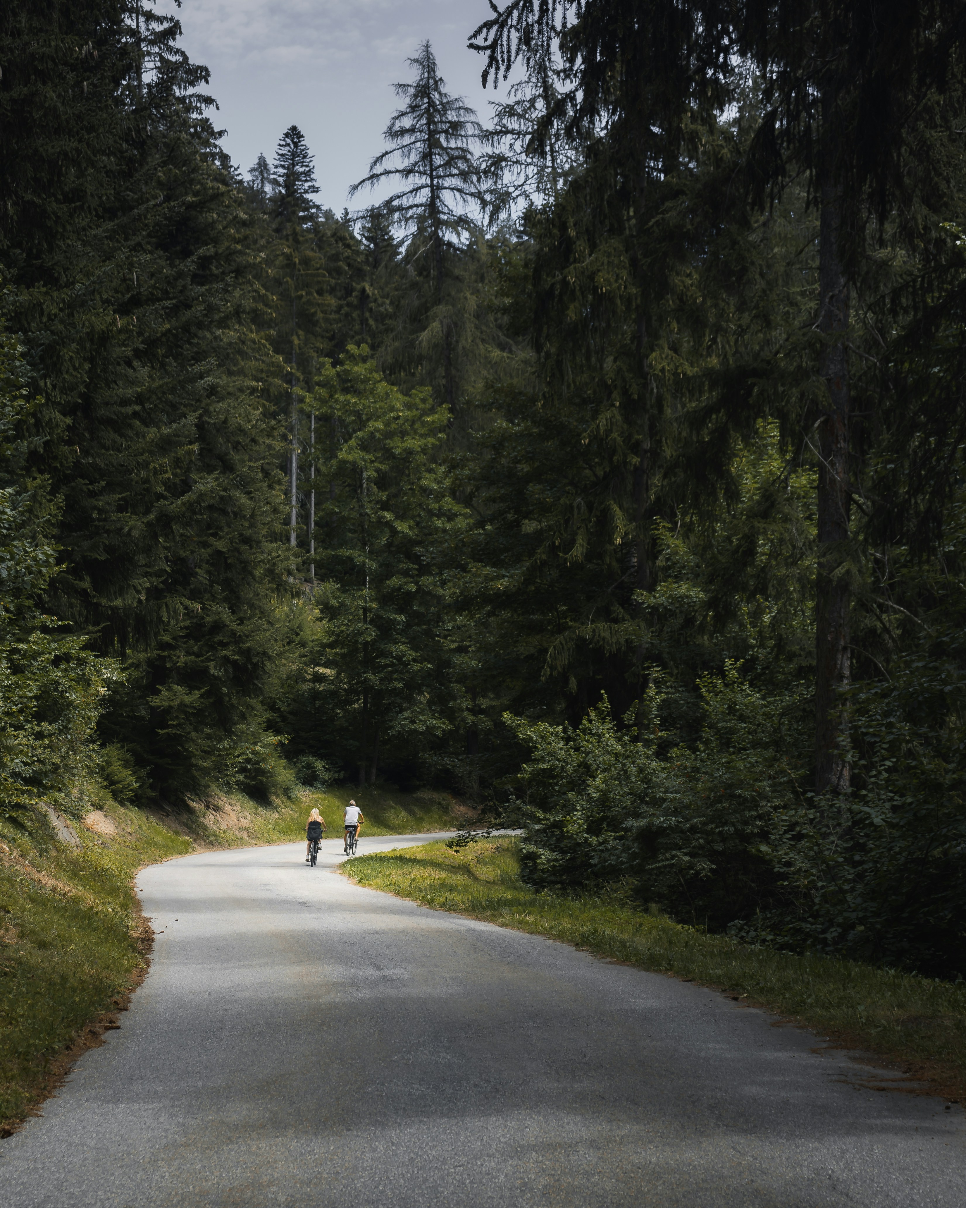 person in yellow jacket walking on gray concrete road between green trees during daytime