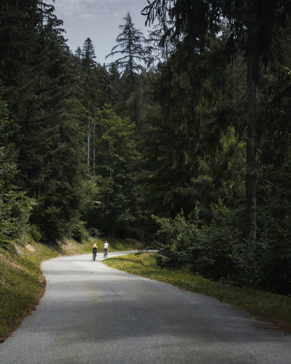 person in yellow jacket walking on gray concrete road between green trees during daytime