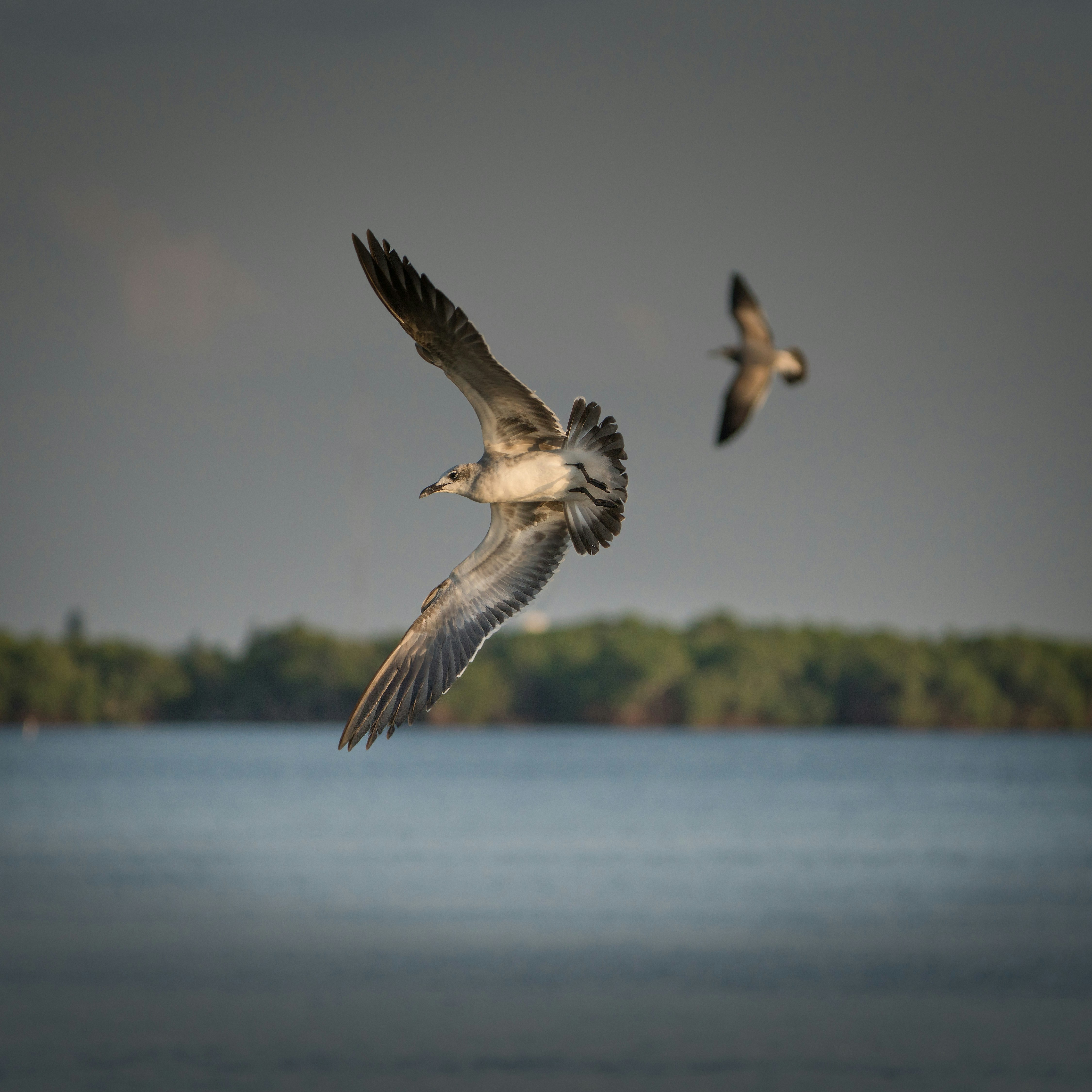 Photo by karographix