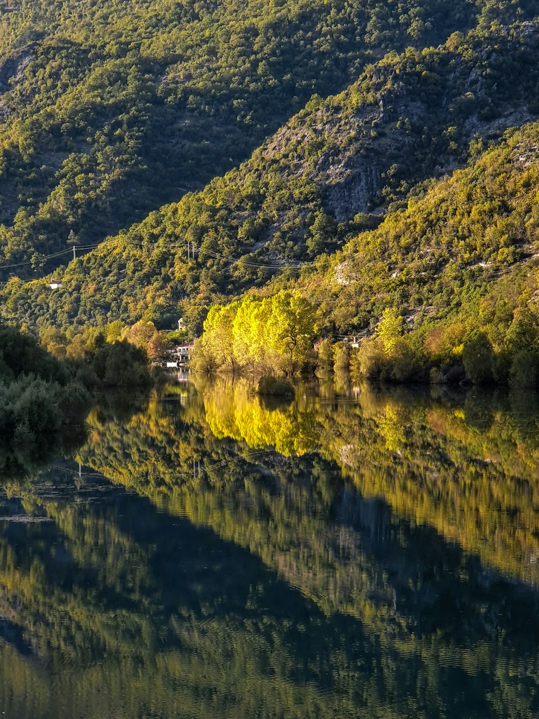 Watercourse photo spot Rijeka CrnojeviÄ‡a Biogradska Gora