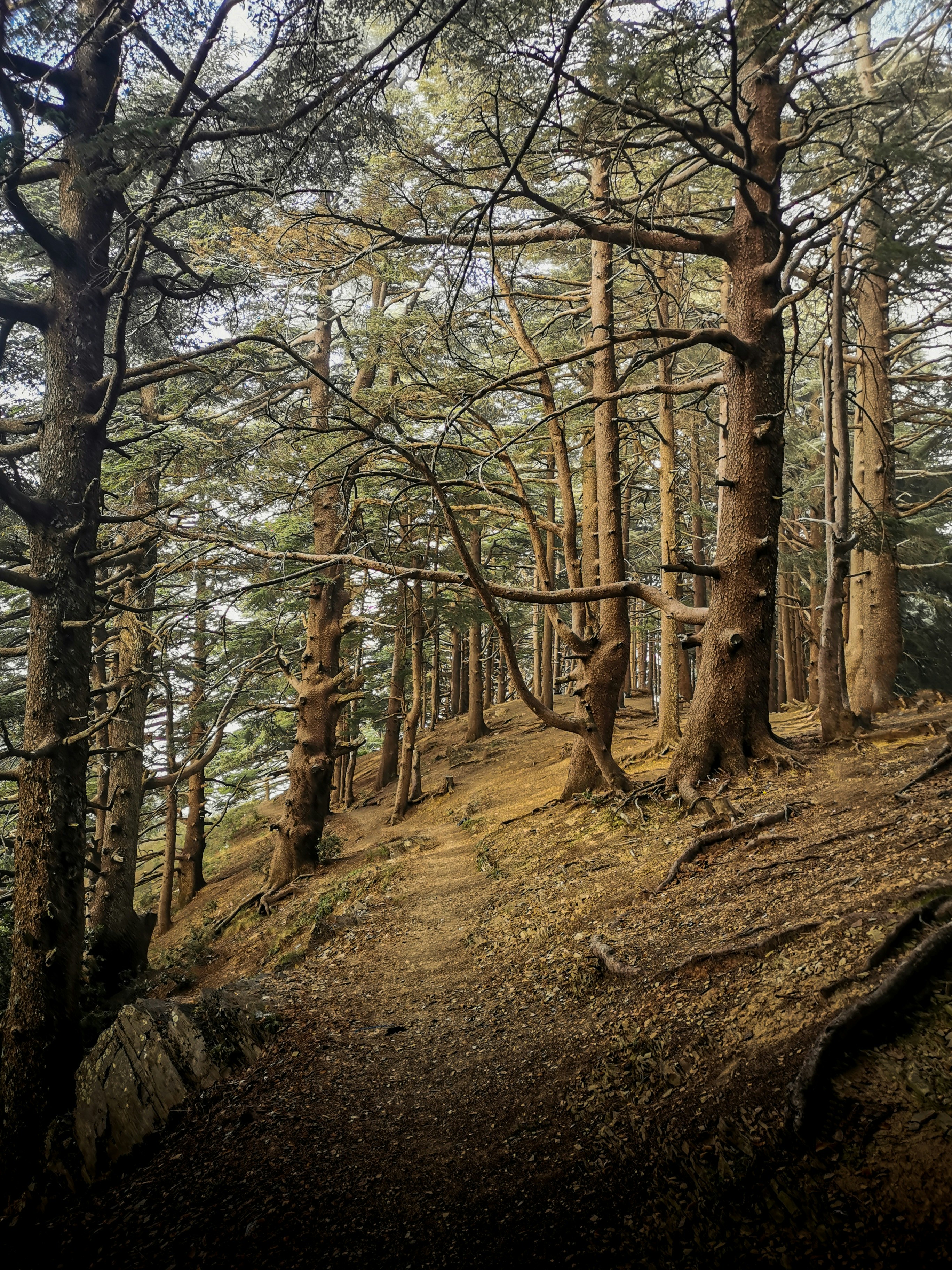 Photo by fethibenattallah