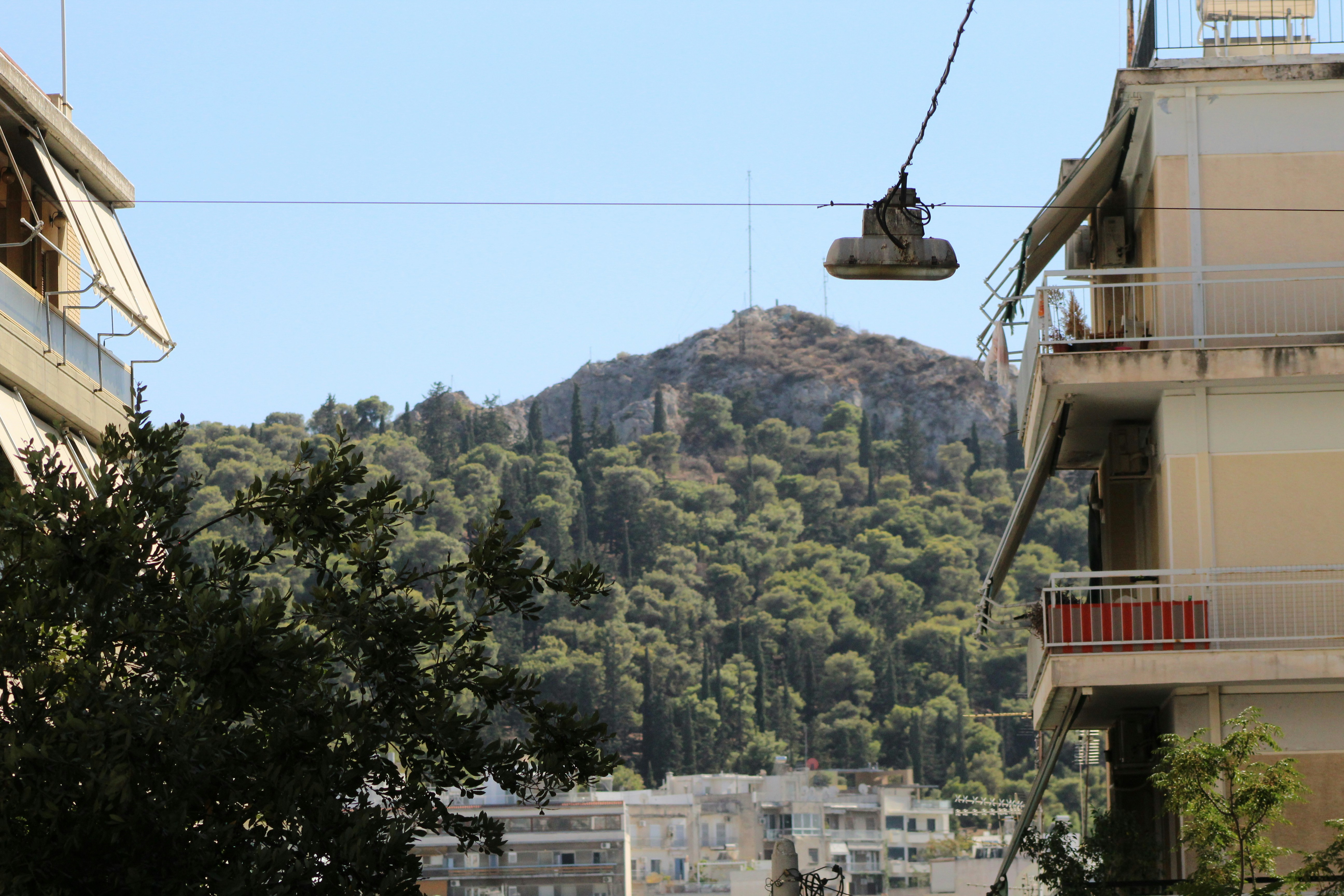 cable car over green trees during daytime