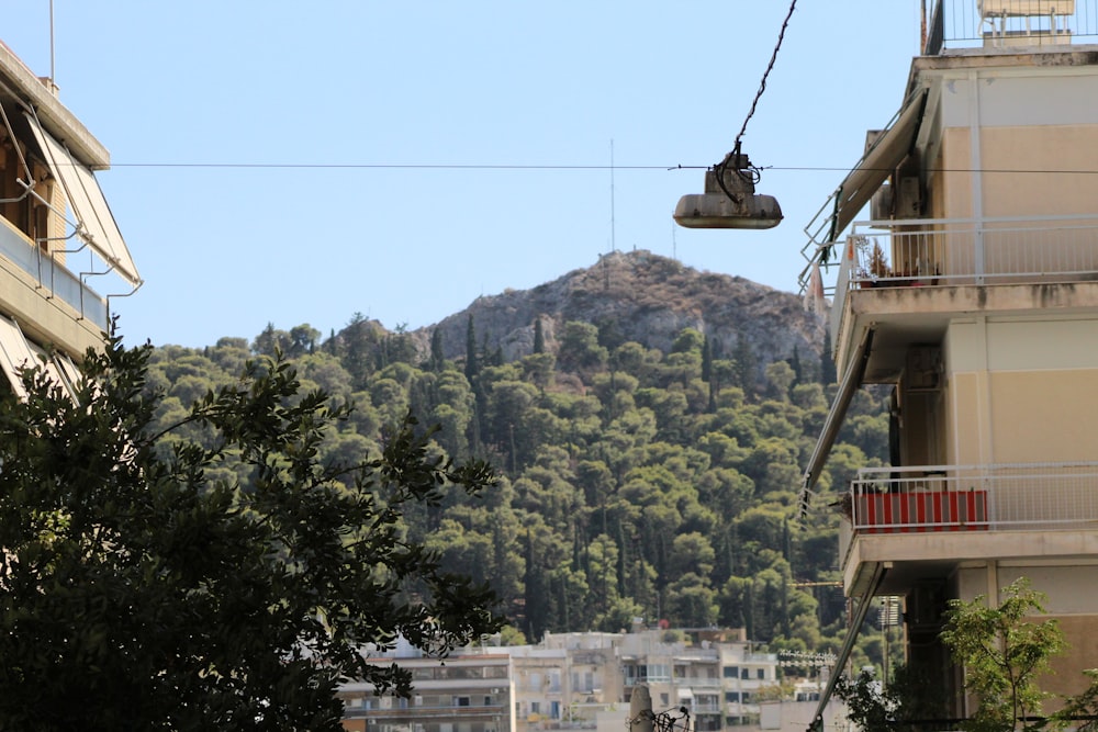 cable car over green trees during daytime