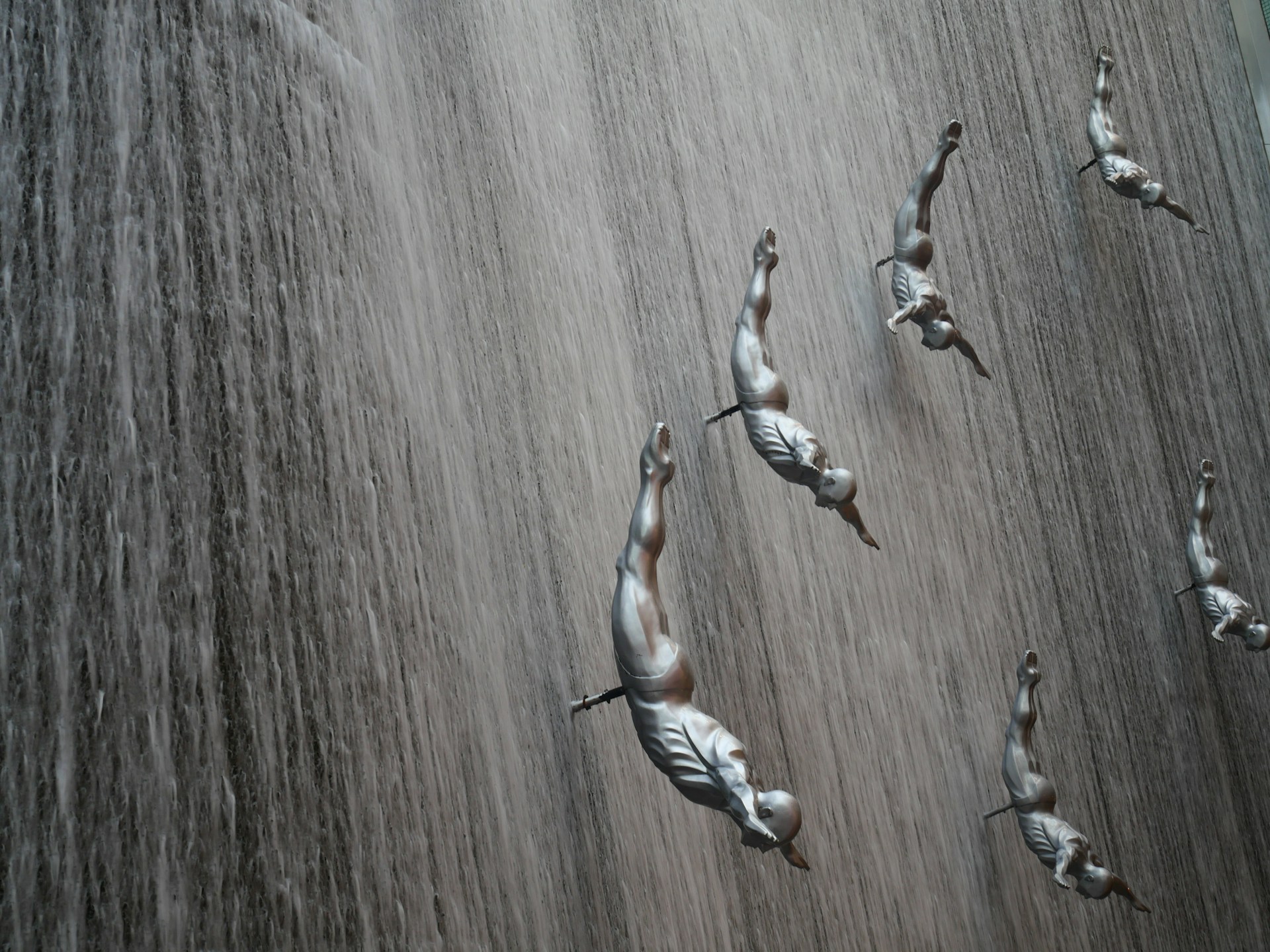 3 brown and white birds on brown wooden surface