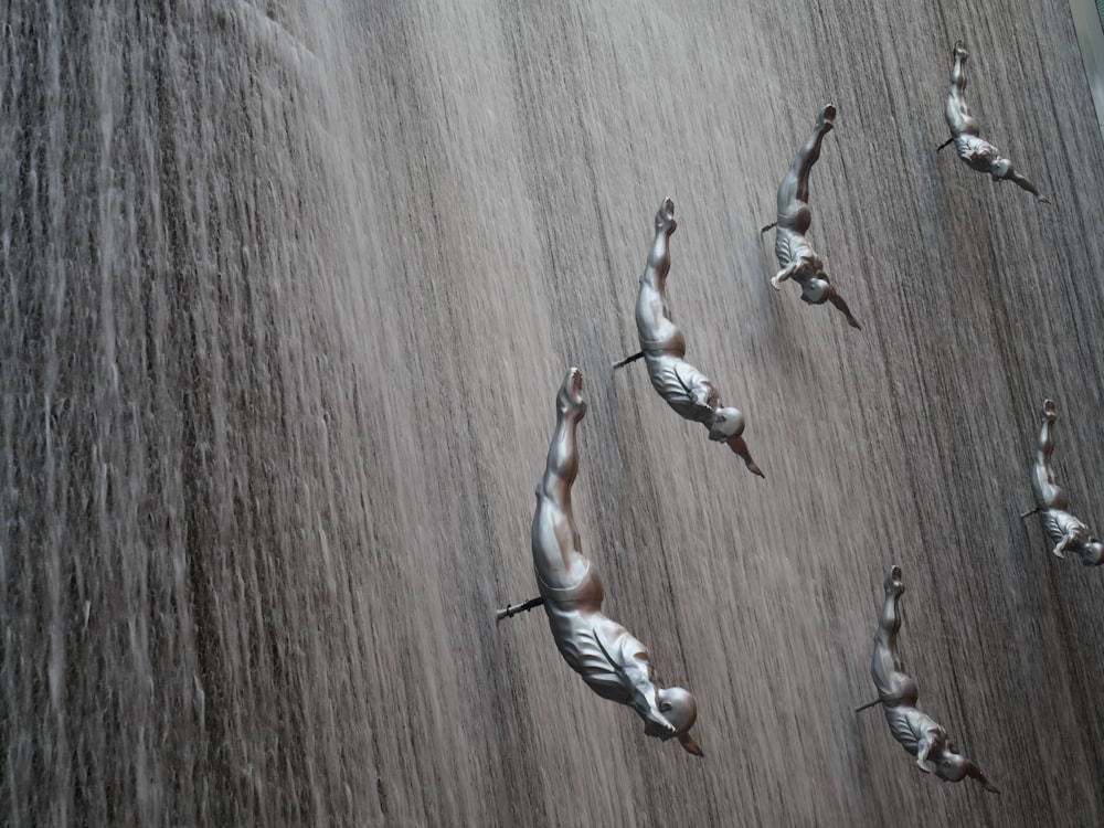 3 brown and white birds on brown wooden surface
