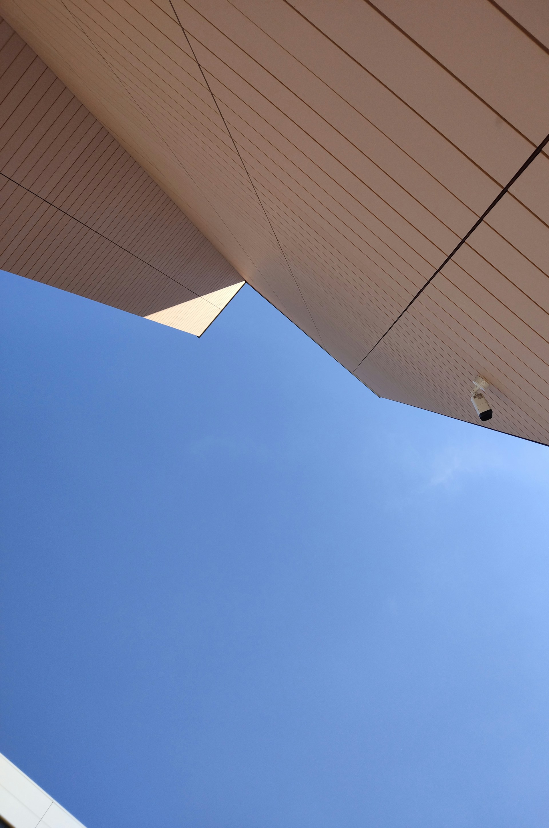 woman wearing yellow long-sleeved dress under white clouds and blue sky during daytime