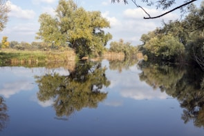 Tranquil waters of Parakrama Samudraya reflecting the surrounding greenery.