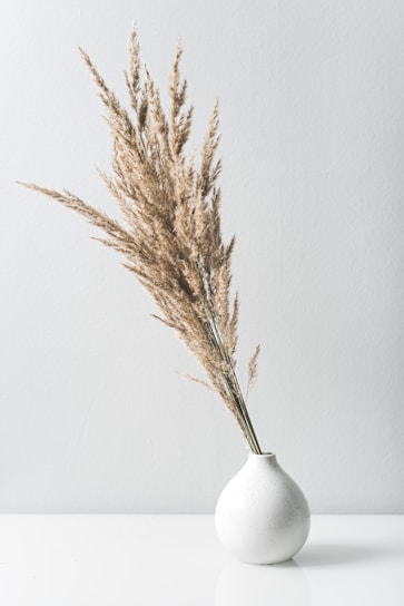 brown plant on white ceramic vase