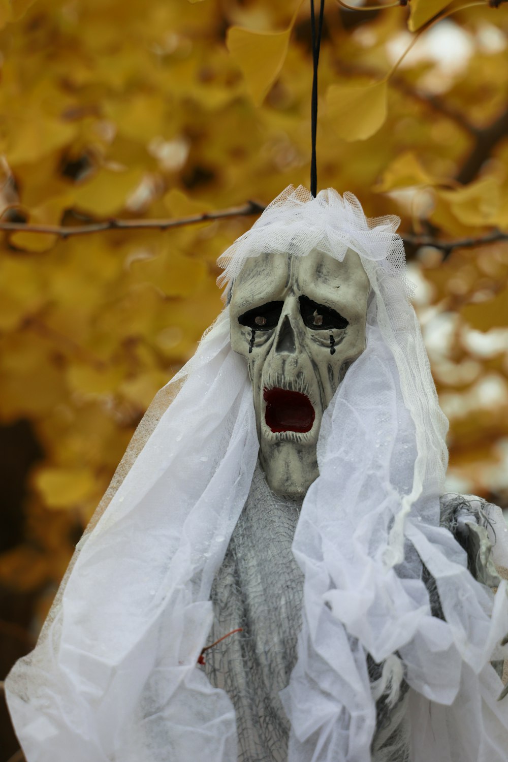 white skull on brown tree branch