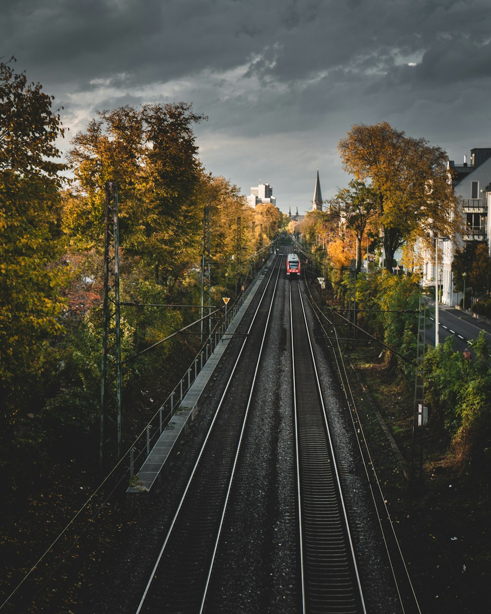 black train rail between trees during daytime