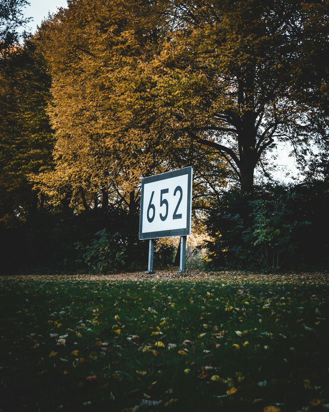 white and black stop sign near green trees during daytime