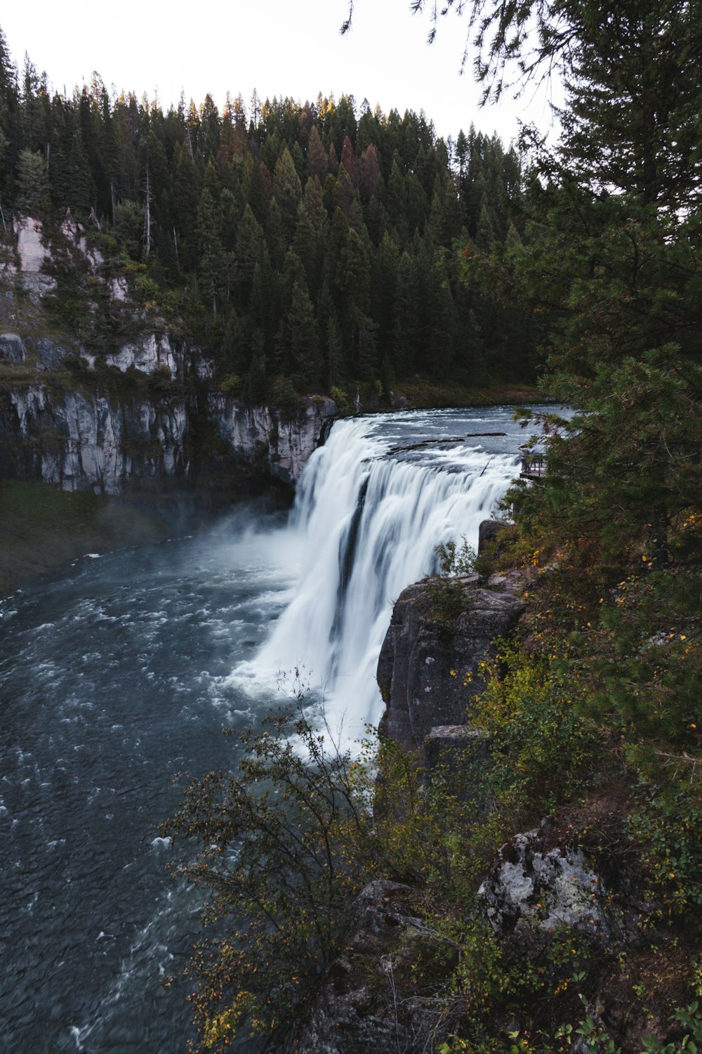 waterfalls in the middle of the forest