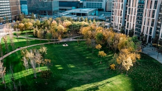 Aerial view of a green urban park surrounded by modern apartment buildings.