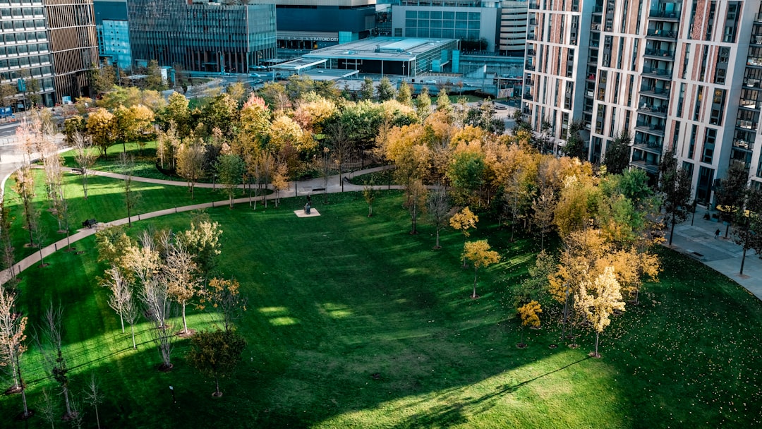 green grass field near building during daytime