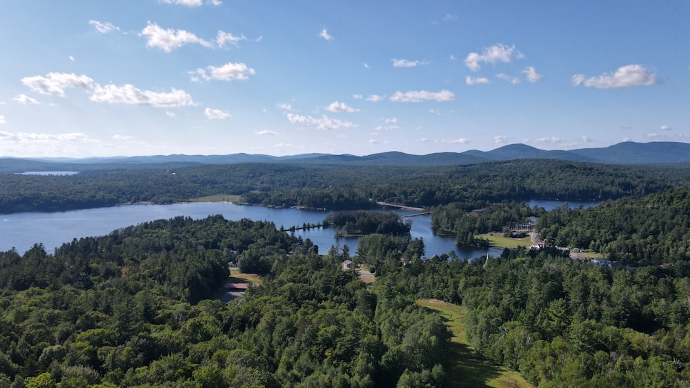 green trees near lake under blue sky during daytime