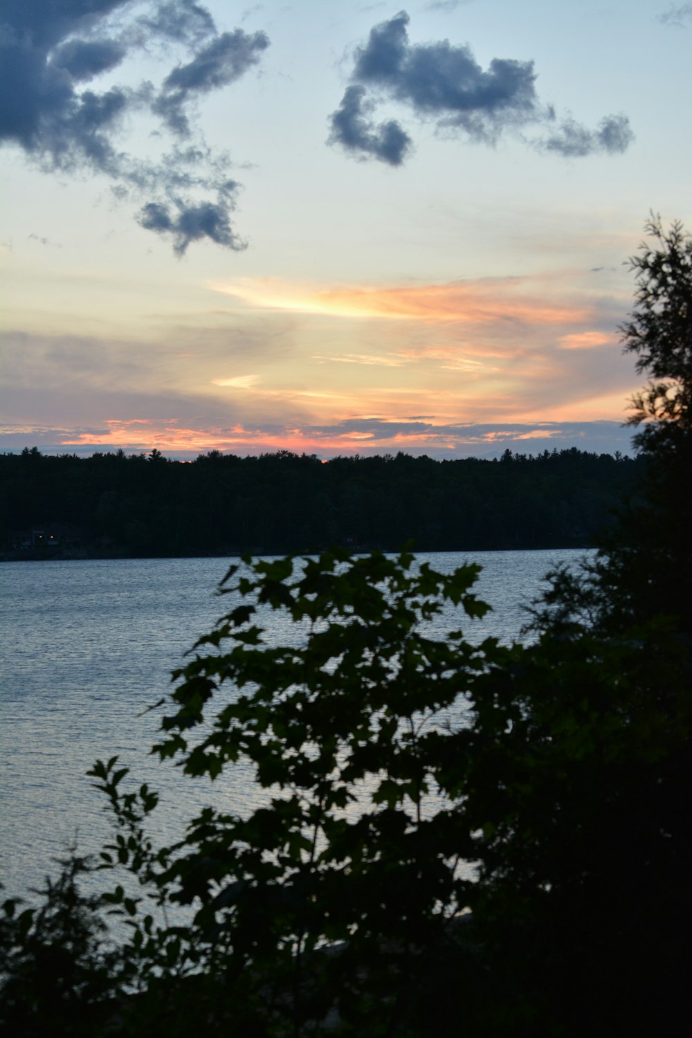 green trees beside body of water during sunset