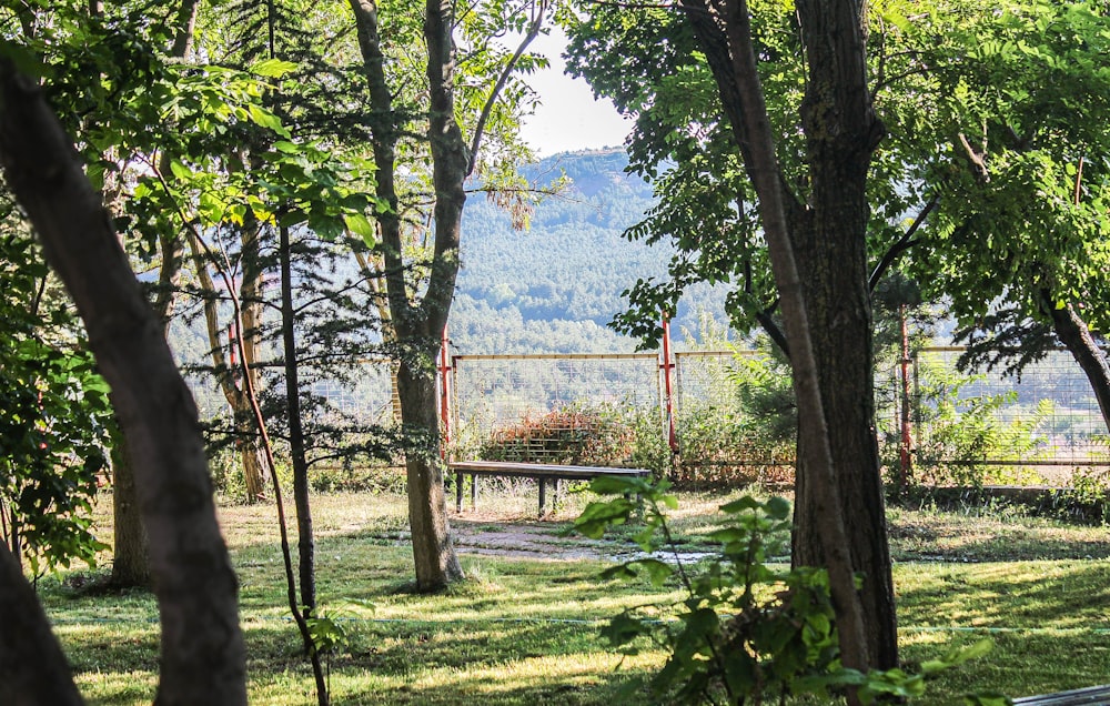 green grass field with brown wooden fence