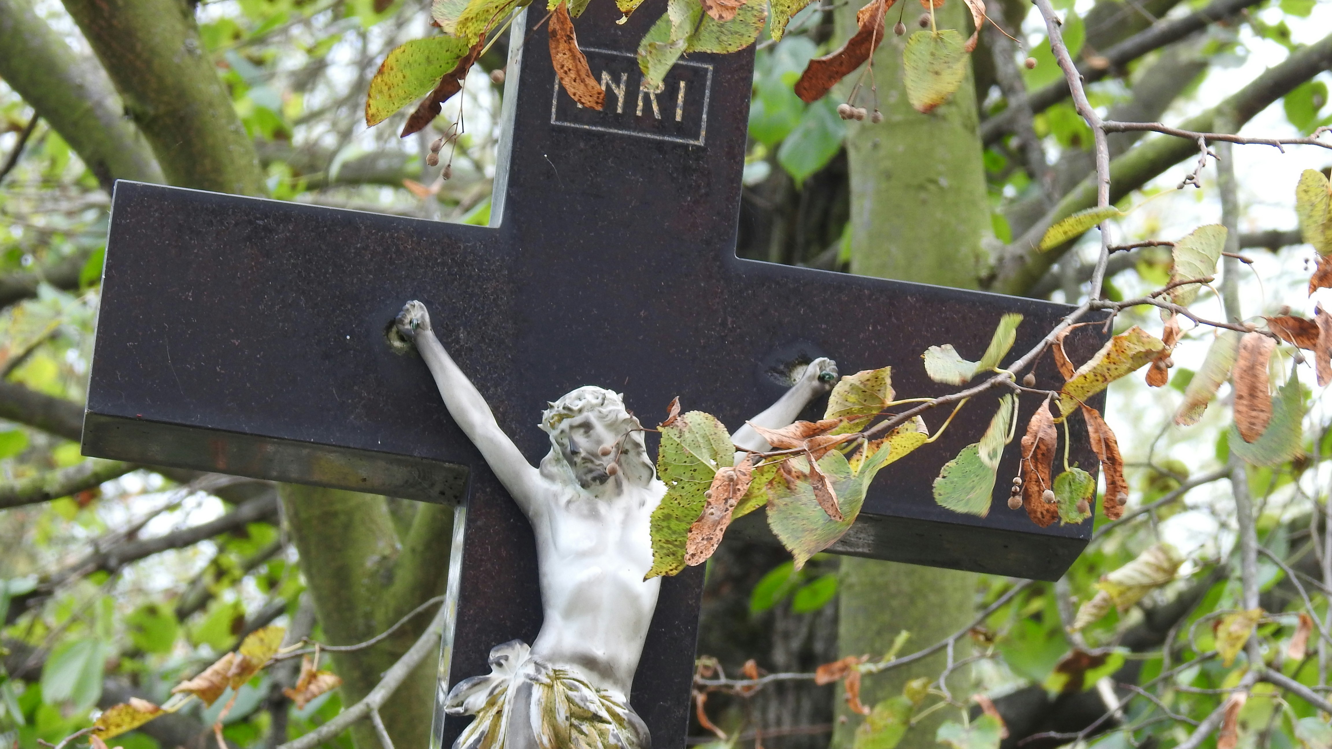 Les Quatre Branches du Christianisme : Catholicisme, Christianisme Orthodoxe, Protestantisme et Anglicanisme