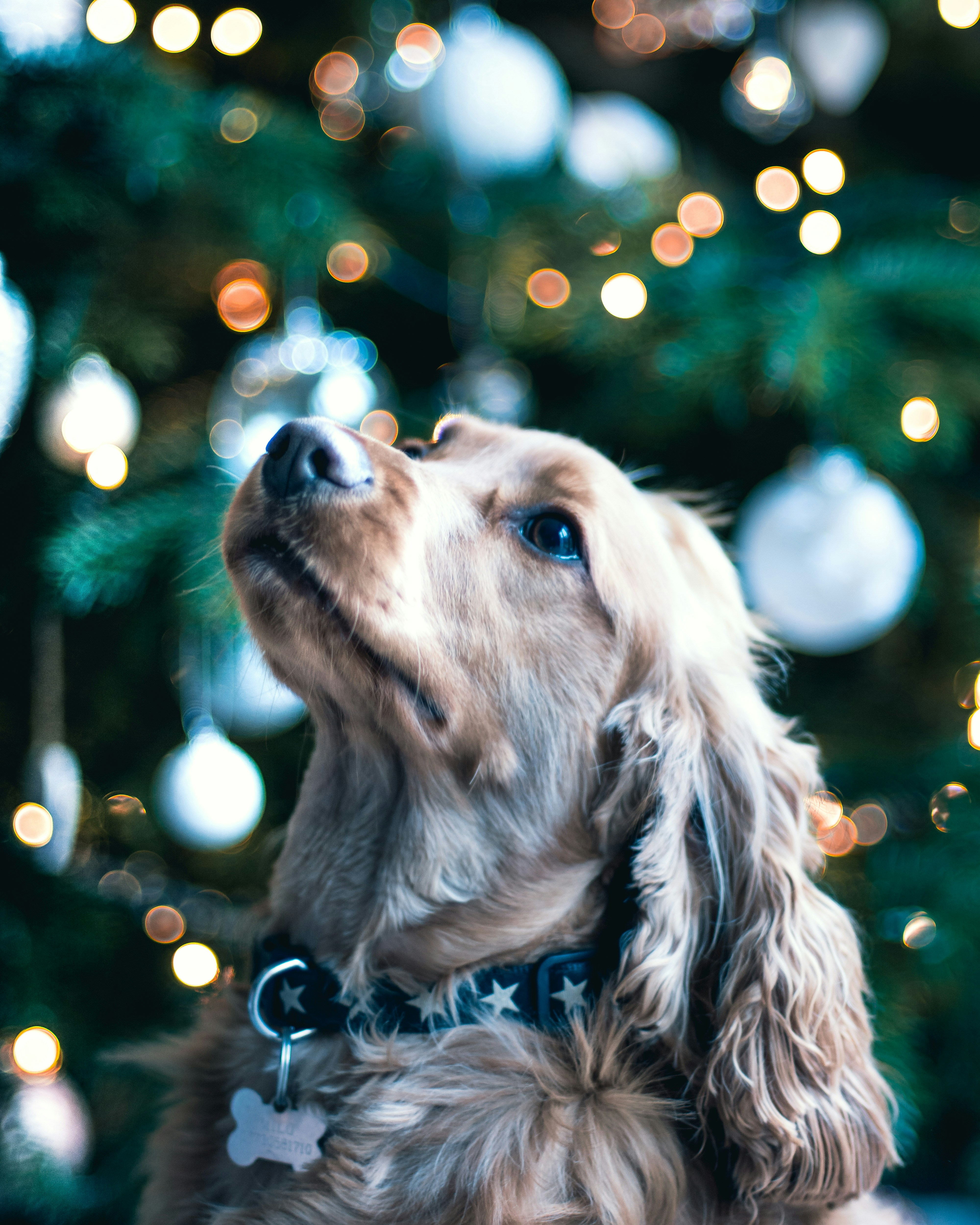 Photo by bradstarkey